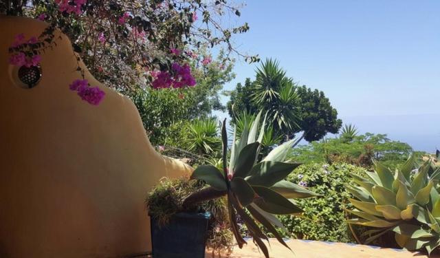 Luna - Finca Manana Los Llanos De Aridane Εξωτερικό φωτογραφία